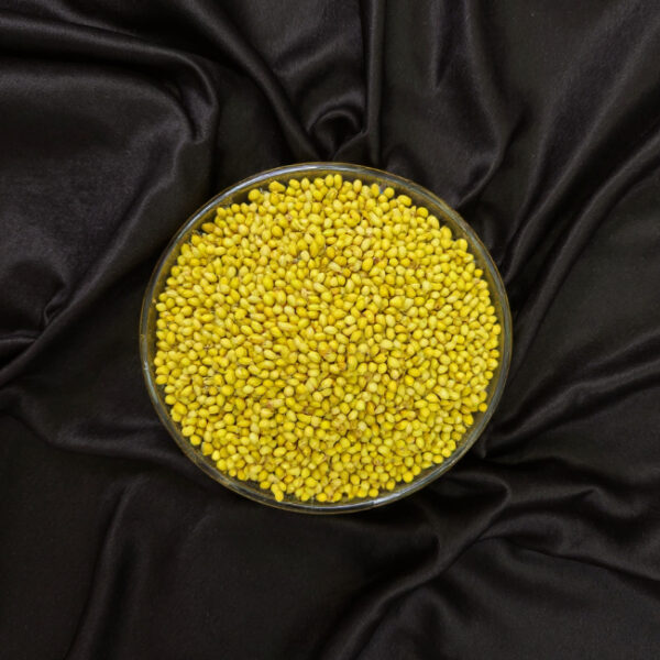 Coriander Seeds (Dhaniya)