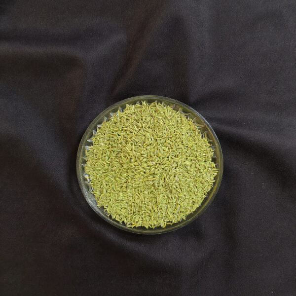 Saunf (Lakhanvi Badishoop)