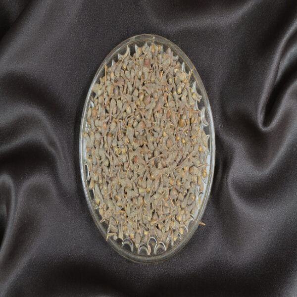 Tailed Pepper (Nakeshwar)