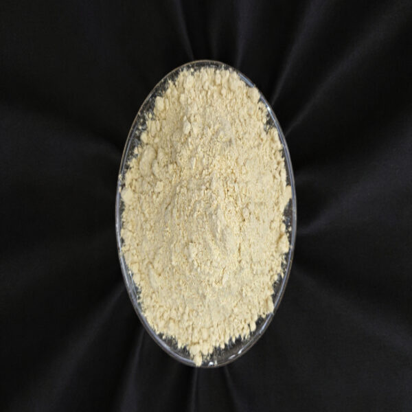 Dry Ginger Powder (Sunth Powder)